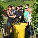 Σπίτι διακοπών Colmarandco Au Coeur Des Vignes *