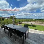 Colmarandco Au Coeur Des Vignes