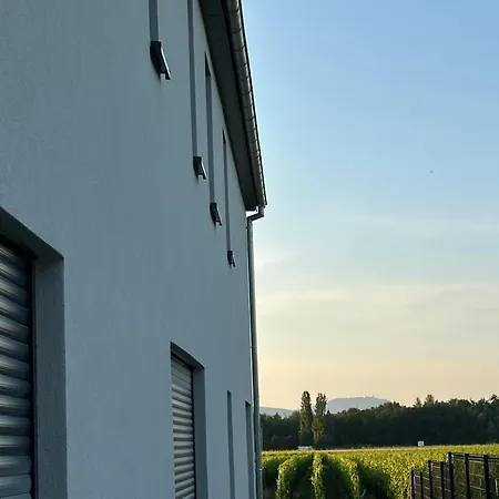 Colmarandco Au Coeur Des Vignes *