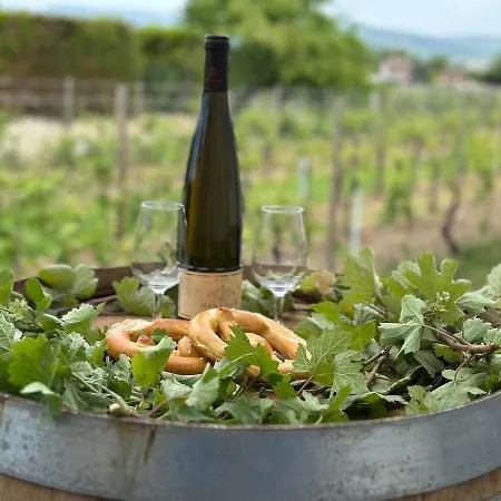 Colmarandco Au Coeur Des Vignes * Ingersheim