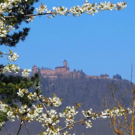 Colmarandco Au Coeur Des Vignes Casa de Férias Ingersheim