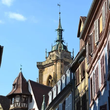 Colmarandco Au Coeur Des Vignes * Ingersheim