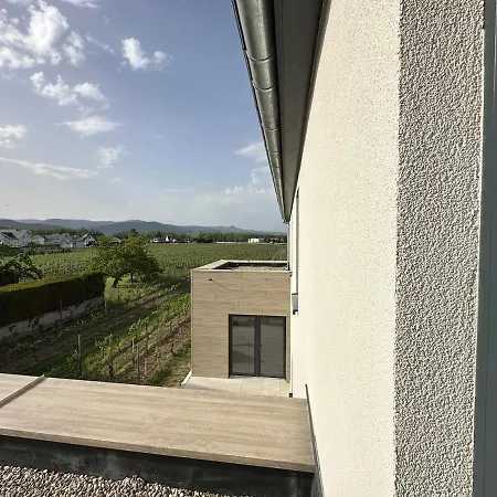 Colmarandco Au Coeur Des Vignes