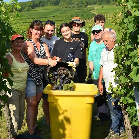 Ferienhaus Colmarandco Au Coeur Des Vignes *