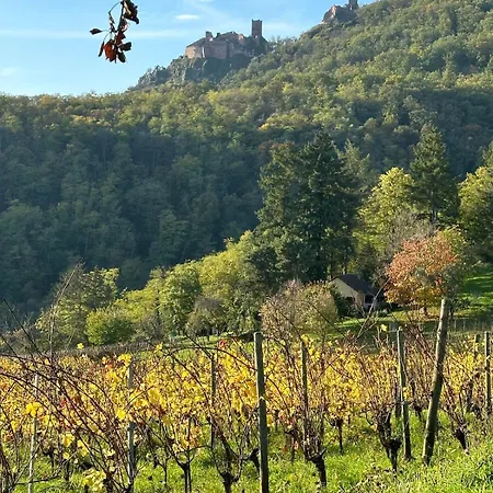 Colmarandco Au Coeur Des Vignes Ingersheim
