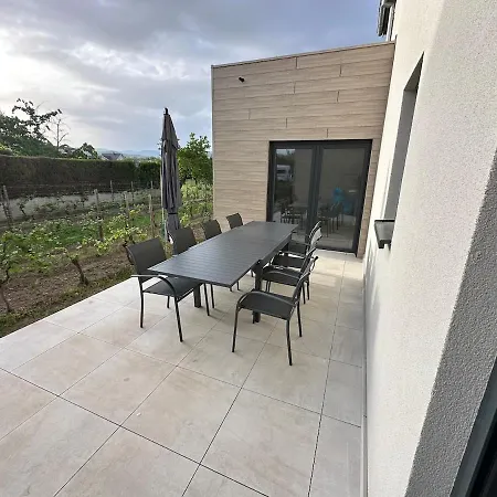 Colmarandco Au Coeur Des Vignes