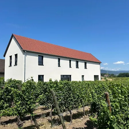 Colmarandco Au Coeur Des Vignes Ferienhaus *