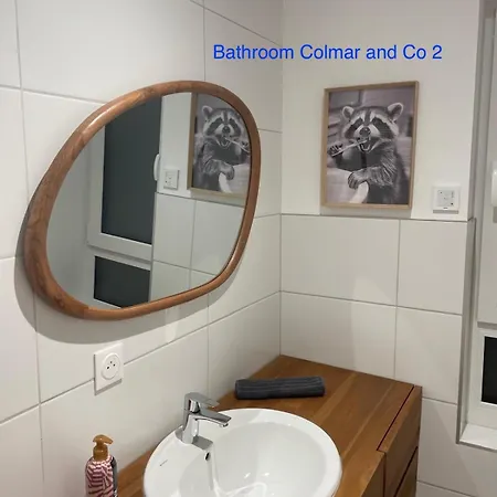 Colmarandco Au Coeur Des Vignes *