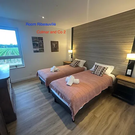 Colmarandco Au Coeur Des Vignes Casa de Férias *