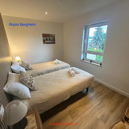 Colmarandco Au Coeur Des Vignes *